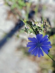 B1CE93ED-1D30-4160-9797-2C27F78C2F89/L0/001