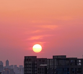 1306185