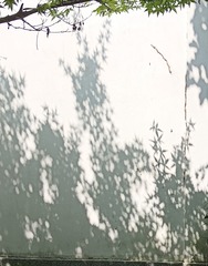 1000023335