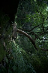 CA615D2D-DD90-49BA-BFA0-0F823848F9B0/L0/001