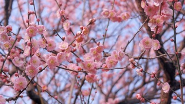 91C996CC-B991-4463-8920-238244023E80/L0/001