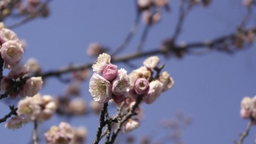 EC20B41F-084B-4877-B848-1F8A7ED8ADAF/L0/001
