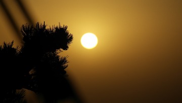 6EFE67C8-D8C1-4CB5-BF96-D35438ECDD04/L0/001