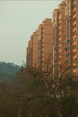 146357