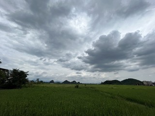 03B22EFA-B6D4-476D-AD4A-1203A4D4F420/L0/001