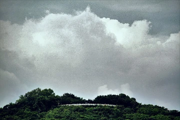 莲花山上