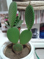2012-07-09 20.36.40.jpg