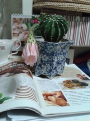 2012-07-09 20.39.20.jpg