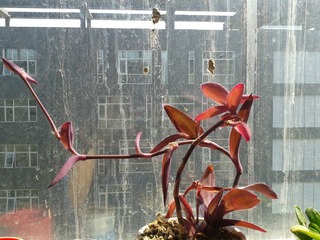 2012-08-22 14.45.37.jpg