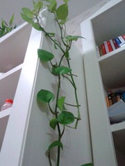 2012-08-25 21.27.35.jpg