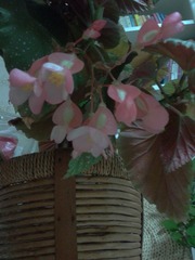 2012-08-25 21.48.53.jpg