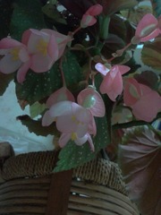 2012-08-25 21.49.18.jpg