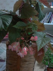 2012-08-25 21.49.35.jpg
