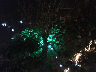 2012-10-01 19.05.06.jpg