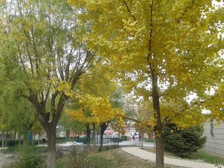 2012-11-09 12.30.51.jpg