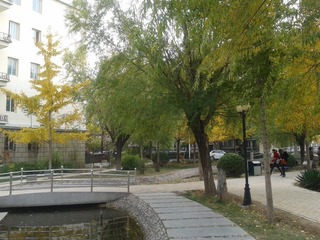 2012-11-09 12.32.19.jpg