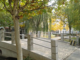 2012-11-09 12.33.10.jpg
