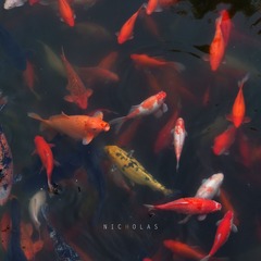 锦鲤.jpg