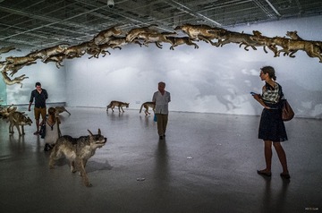 Photo with wolves-w