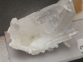 79064