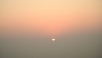 1000051124