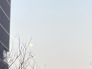 A31C7FC9-E5CF-4D67-A9BA-EC6E1C61233D/L0/001