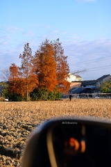 8D28EA98-AB3D-4A4B-A434-54446C60DE67/L0/001