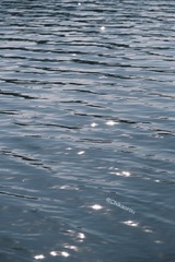 7690D853-9A35-477B-8670-072F8B249586/L0/001