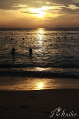 IMG_5340.jpg