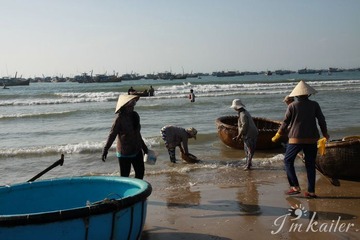 IMG_5965.jpg