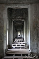 IMG_6933.jpg