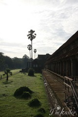 IMG_7066.jpg