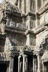 IMG_7130.jpg