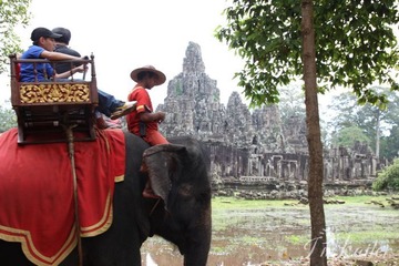 IMG_7331.jpg