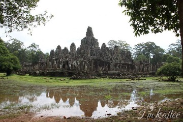 IMG_7332.jpg