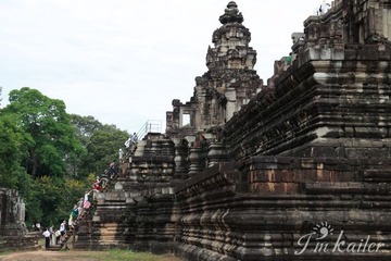 IMG_7352.jpg