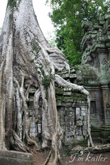 IMG_7584.jpg