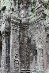 IMG_7591.jpg