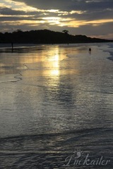 IMG_8088.jpg