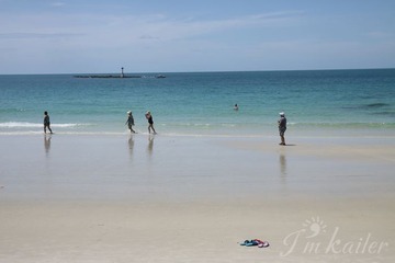 IMG_8409.jpg