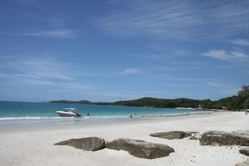 IMG_8466.jpg