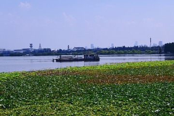 DF41E690-582D-494E-BE24-140D0FDDC090/L0/001