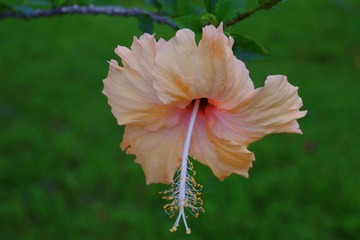 0A2832DD-81C3-4742-97E5-E36D71A99C6D/L0/001