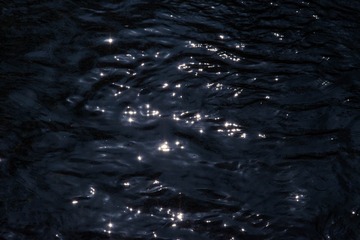 53805580-B66A-49B7-B81D-E9CF7C60F4A5/L0/001