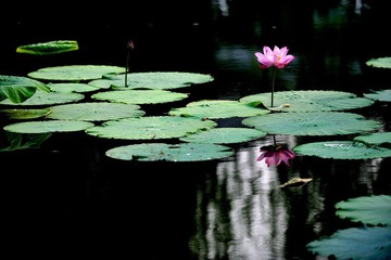 DSC_2659.JPG