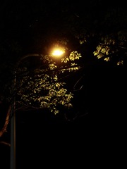 C69D346B-67B0-4272-9F45-B6DD1A1BABE2/L0/001