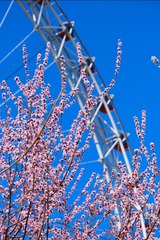 724832DF-377D-40BA-B5F9-2A42237ED6F9/L0/001