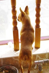 我在遥望。。。。。