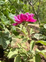 3D078DDA-0542-4C04-8ECD-BFC814427D6B/L0/001