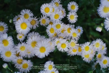9367A83C-83BA-4B7E-AF70-B07B2070993C/L0/001